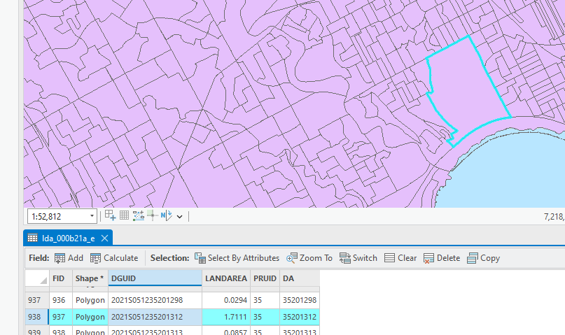 Attribute table with a row highlighted and the dissemination area boundaries around High Park outlined in light blue