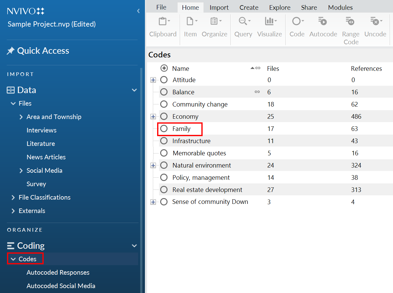 NVivo main interface with Codes option on the left highlighted.