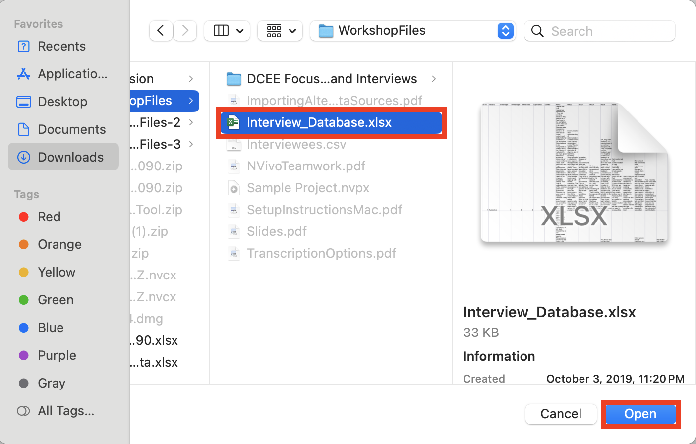 Import browser with the file "Interview_Database.xlsx" selected and the "Open" button highlighted.  