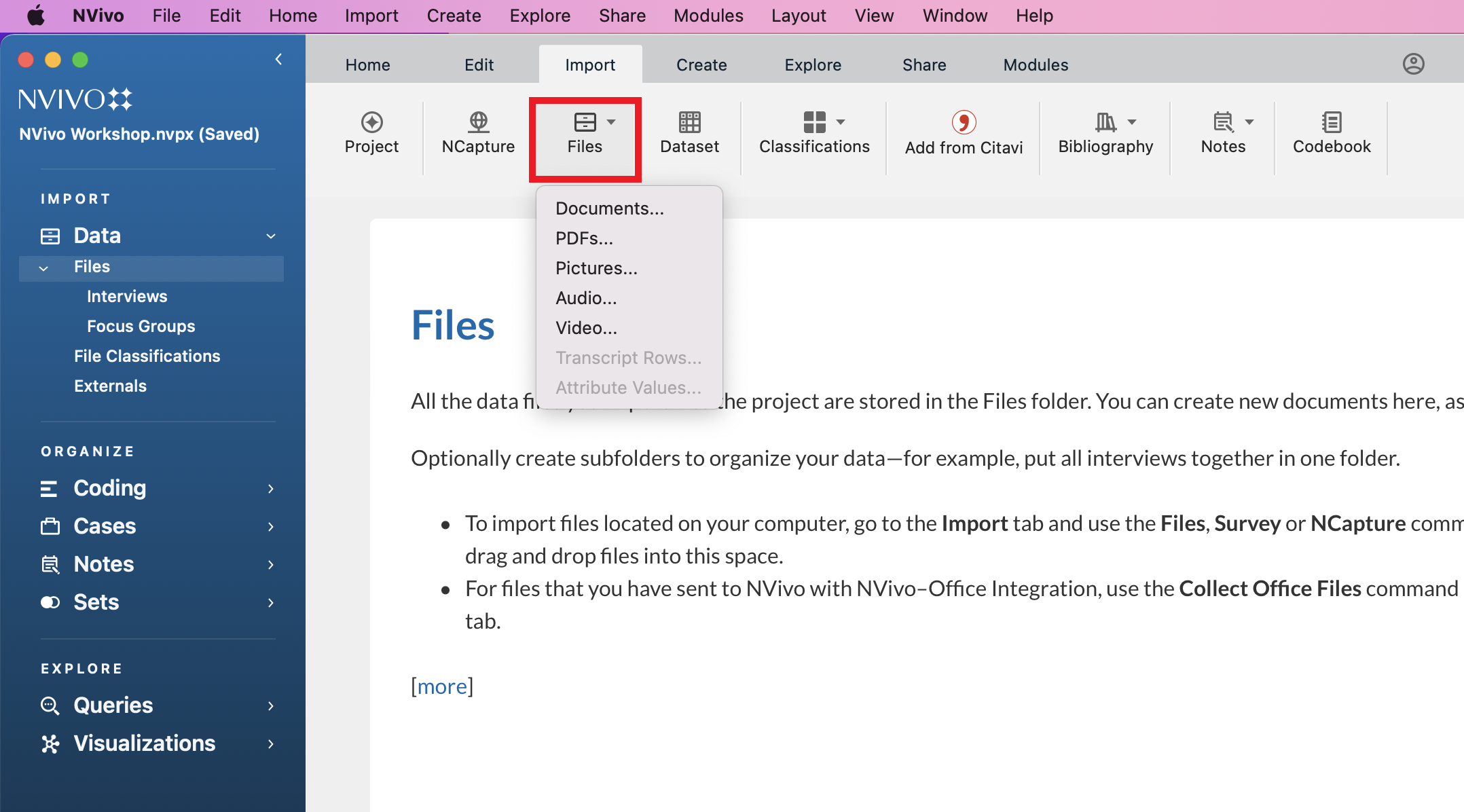 The import tab has been selected within NVivo, and the files tab has been selected from there.