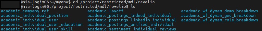 screenshot of the directories within the revelio folder