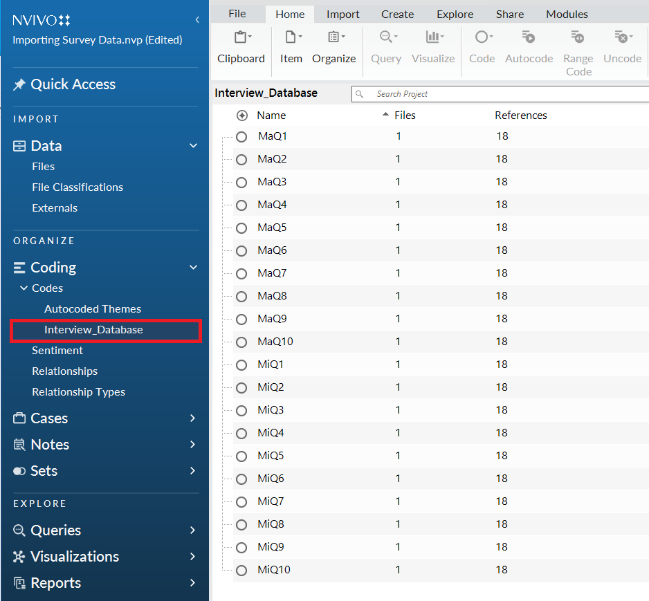 In the left menu, under coding, Codes is expanded and Interview_Database is selected and highlighted.