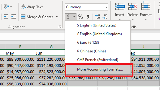 highlighting the more accounting formats under the extra currency options