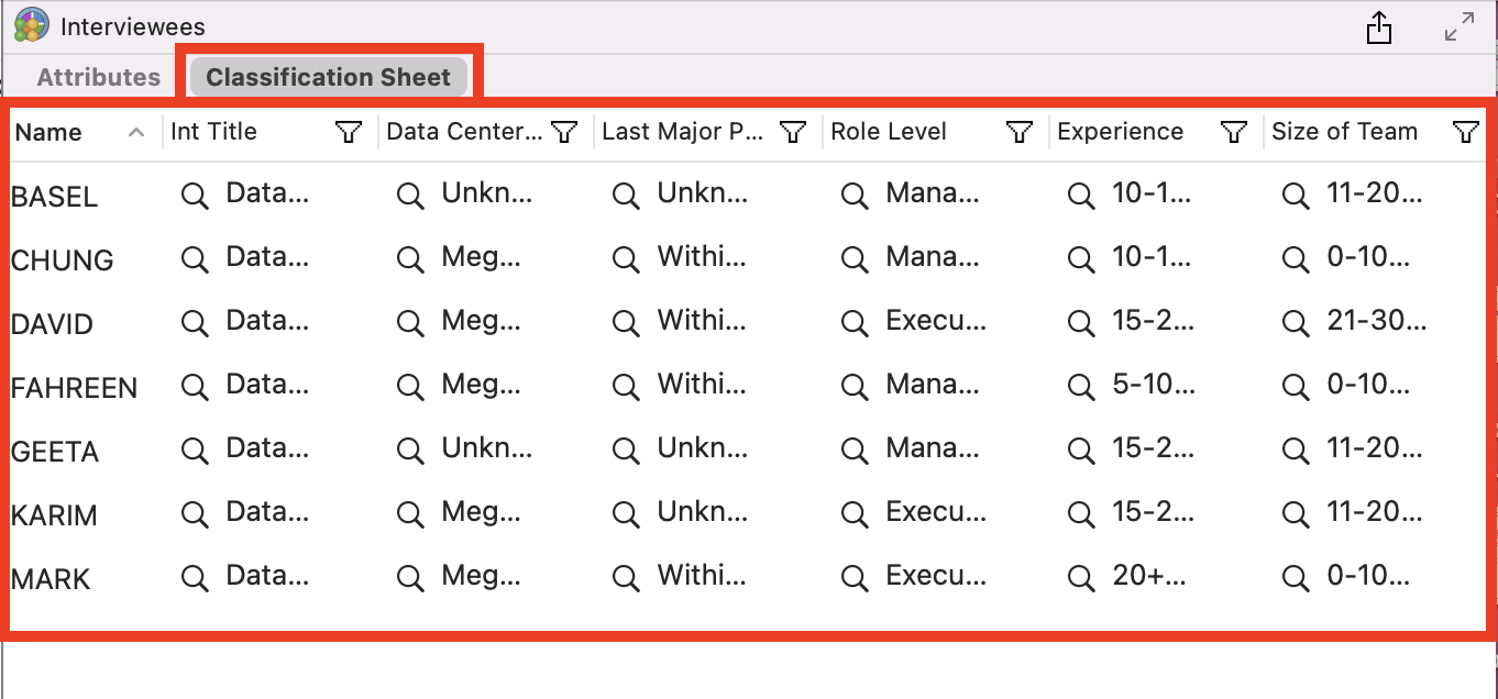 Imported classification sheet opened in NVivo.