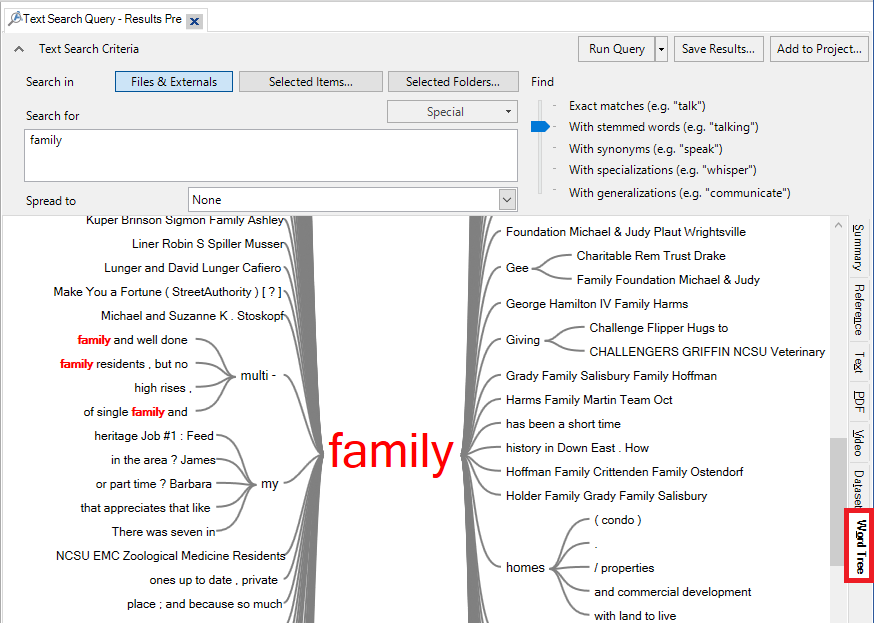 In the Text Search Query window, a red box outlines the Word Tree tab.