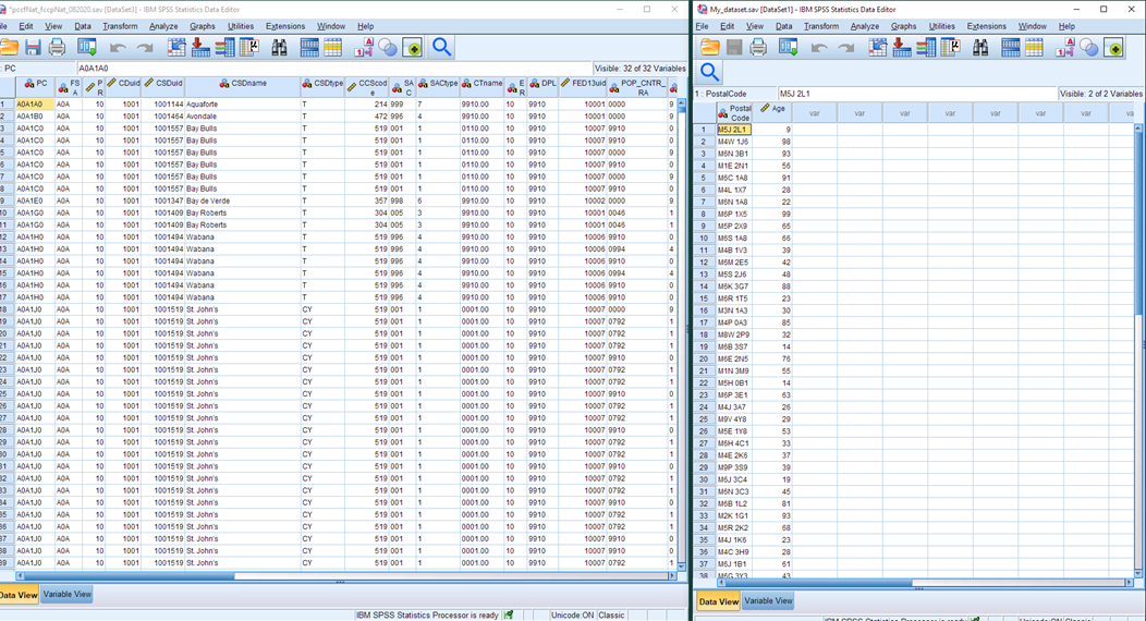 Two datasets are open in IBM SPSS Statistics Data Editor: pccfNat_fccpNat_082020.sav and My_dataset.sav